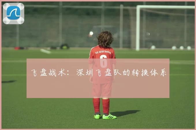 飞盘战术：深圳飞盘队的转换体系