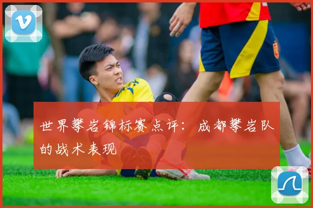 世界攀岩锦标赛点评：成都攀岩队的战术表现