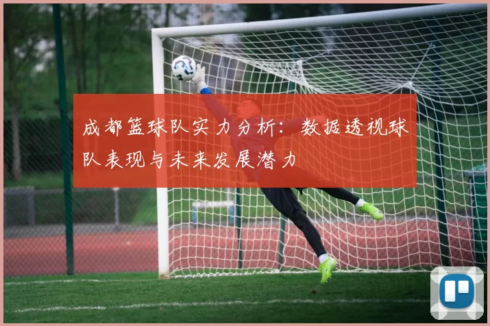 成都篮球队实力分析：数据透视球队表现与未来发展潜力