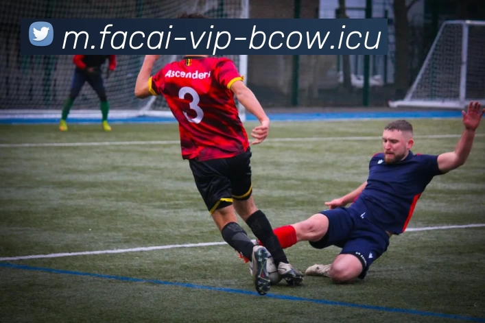 华体会体育平台生态图