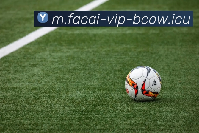 华体会体育APP 封面图